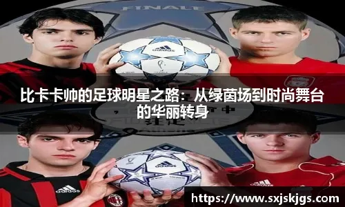 2025 赛季：波士顿红袜队宣布开启芬威球场建成以来最大的翻修计划